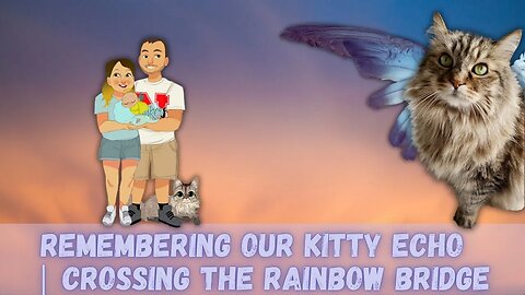 Remembering Our Kitty Echo | Crossing The Rainbow Bridge | Forever Home