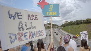 How Dreamers Feel About Never-Ending Negotiations Of Their Fate