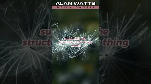 USE NATURES INTELLIGNECE ALAN WATTS #ALANWATTS #NATURE #PHILOSOPHY #philosophy #meditation