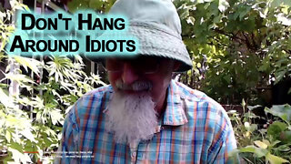 Don't Hang Around Idiots: Life Advice Regarding Stupid People