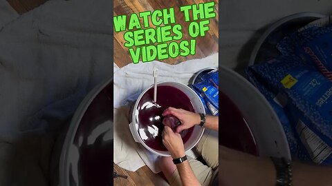 Blueberry #wine started! #shorts