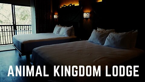 Animal Kingdom Lodge Jambo House: Savannah View Room Review