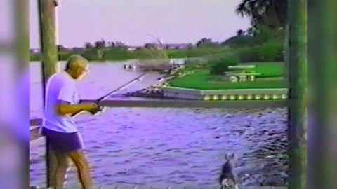 "Dog Trying to Catch Fish on Dock Falls into Water"