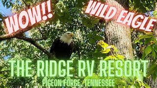 The Ridge Outdoor Resort Pigeon Forge, Tennessee