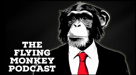 The Flying Monkey Podcast Ep.1 pt.2 "The Problems with Family Court"