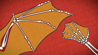 HowStuffWorks Animations: How Bats Fly