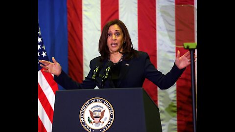 VP Harris Blames Negative Media Coverage on Not Being White Male: NY Times