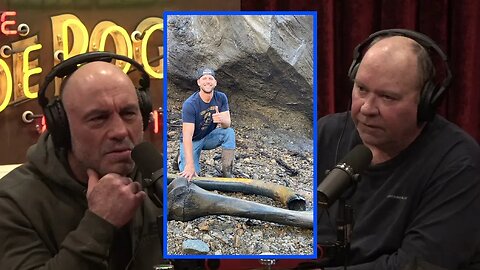 The Mammoth Cravings | Joe Rogan Experience w/ John Reeves