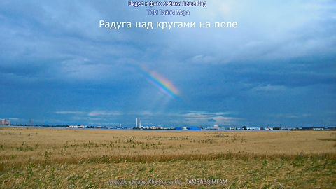 Круги на полях в России Crop circles in Russia