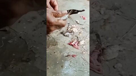 Expensive Fish Cutting Skills | Live Rohu Fish Cutting Skills Live In Bangladesh #shorts #nonvej