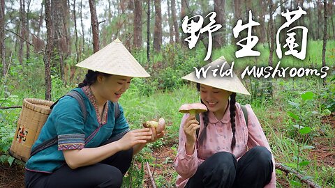 Wild Mushrooms - A pot of Indispensable Freshness for Yunnan People in Summer