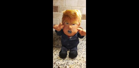 Trump Making Dolls Great Again