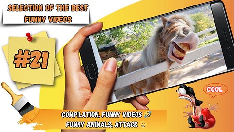 Compilation, funny videos 🤣 funny animals, attack 😁 #21