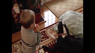 Toddler and Dog Just want to Make Music!