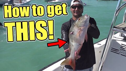 How I shot this Mutton Snapper off Islamorada | Curry Catch and Cook
