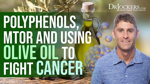 mTOR, Polyphenols and Using Olive Oil to Fight Cancer with Dr. Limor Goren