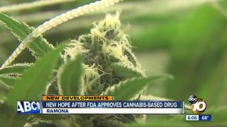 New hope after FDA approves cannabis-based drug