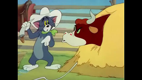 Tom & Jerry | Tom & Jerry in Full Screen | Classic Cartoon -1