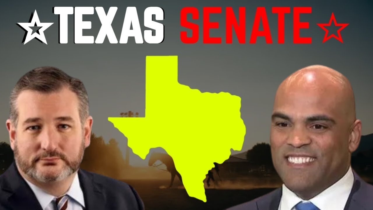 Texas Senate Race 2024 Nita
