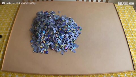 Time-lapse viser puslespil med 2000 brikker samlet på få sekunder