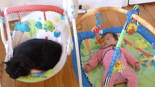 Baby watches in disbelief as cat steals her rocker