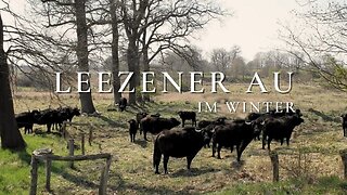 Solohiking around lake Moezen See and the meadowland "Leezener Au" in Winter | A Silent Hiking Film