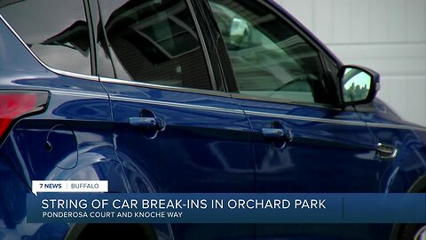 Orchard Park residents speak on string of car break-ins