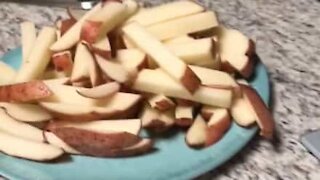 Fry cutter blows man's mind!