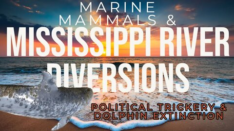 Marine Mammals & Mississippi River Diversions: Political Trickery & Dolphin Extinction