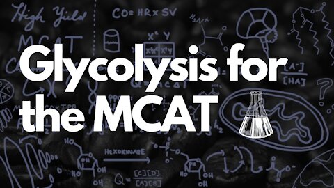 MCAT Glycolysis Need to Know's (Quick Facts) | Glycolysis Pathway | MCAT 2021