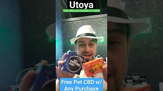 Give Your Pets CBD Oil for Free 2023