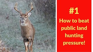#1 How to beat public land hunting pressure! Hunt the edges.