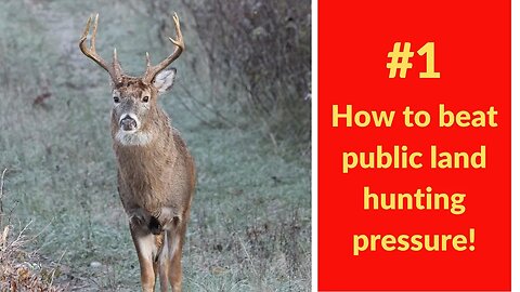 #1 How to beat public land hunting pressure! Hunt the edges.