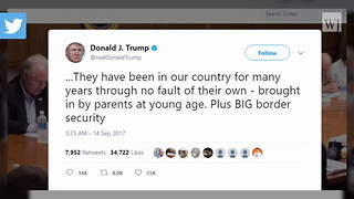 President Trump DACA Tweets