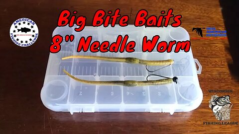 Big Bite Baits 8 Inch Needle Worm Rigging Options