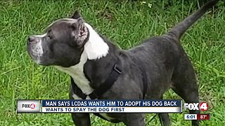 Man says Lee DAS wants him to adopt his dog back