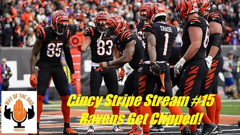 Dirty Birds Get Clipped | Preview Of The Wild Card Weekend Rematch | Cincy Stripe Stream #15