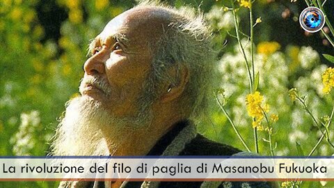 La rivoluzione del filo di paglia di Masanobu Fukuoka