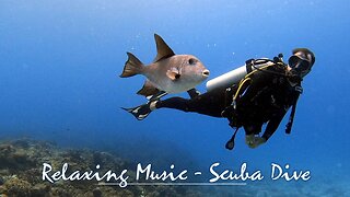 Scuba diving and ocean underwater life - 1 HOUR of relaxing music to calm you