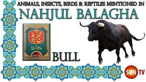 Bull - Animals, Insects, Reptiles & Amphibians in Nahjul Balagha (Peak of Eloquence)#imamali