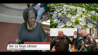 Black Female Senator says F The-Suburbs in Reaction to Crime Spilling from Cities to Suburbs