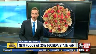 13 new foods to look out for at the 2019 Florida State Fair