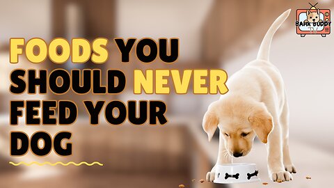 Sniff & Tell: Foods You Should NEVER Feed Your Dog