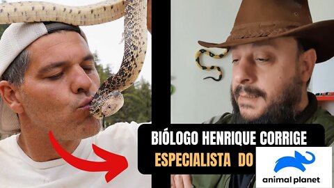 Biólogo Henrique corrige especialista do @Animal Planet Brasil ​