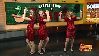 A Performance from "Little Shop of Horrors"