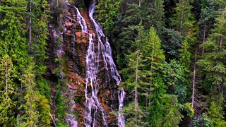 This beautiful waterfall is tucked away in a gorgeous forest