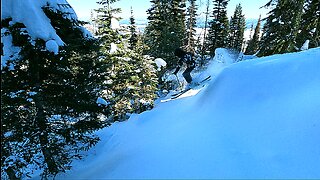 Skiing In Idaho With Some Fresh Powder!