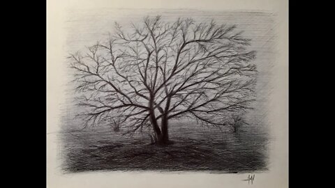 Ballpoint Pen Drawing of a Foggy Tree, how to draw