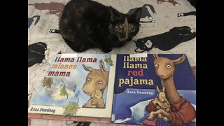 Auntie Paula reads, “Llama Llama red pajama” by Anna Dewdney