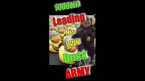 TODDLER Leading His OWN Duck ARMY